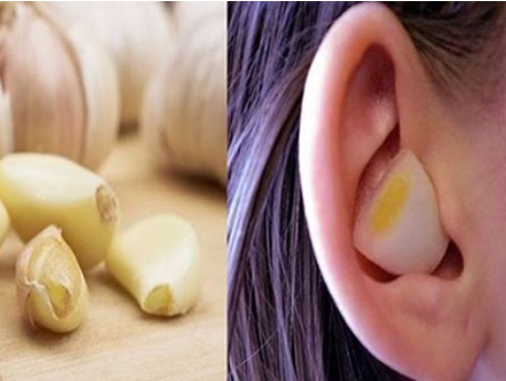 Aplicação natural na orelha e ingredientes herbais